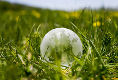 Eco friendly Glass Globe
